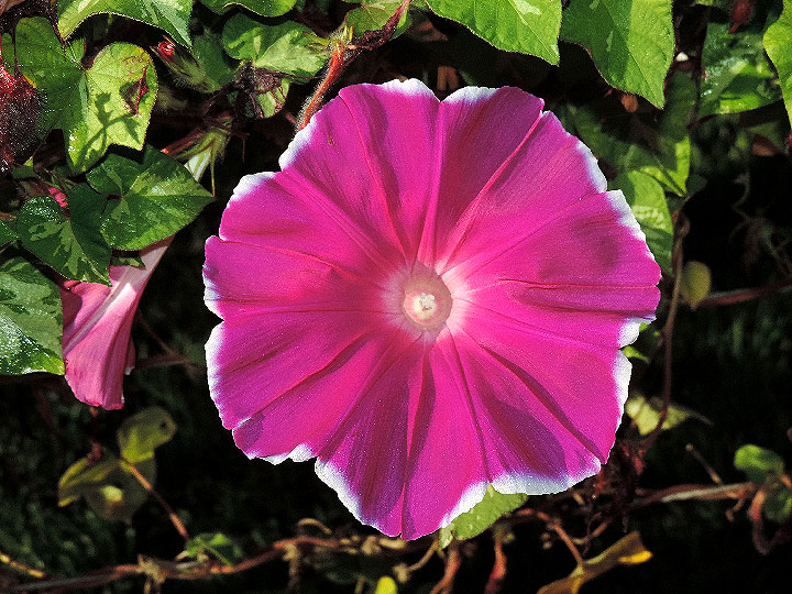 DSCN5750_01