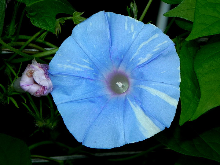 DSCN5812