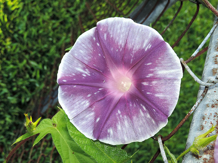 DSCN5887_01