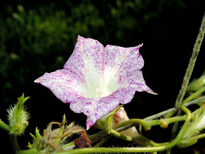 DSCN5906_01