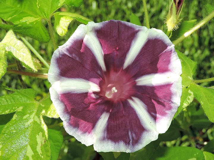 DSCN5935_01