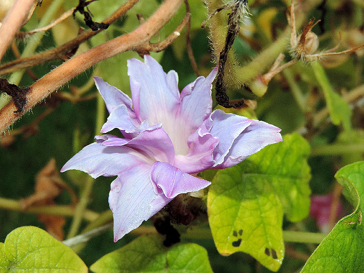 DSCN6009_01