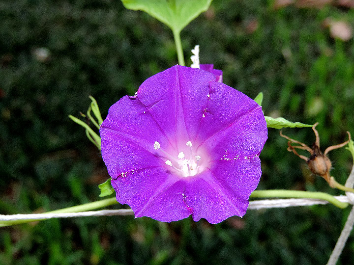 DSCN6038_01