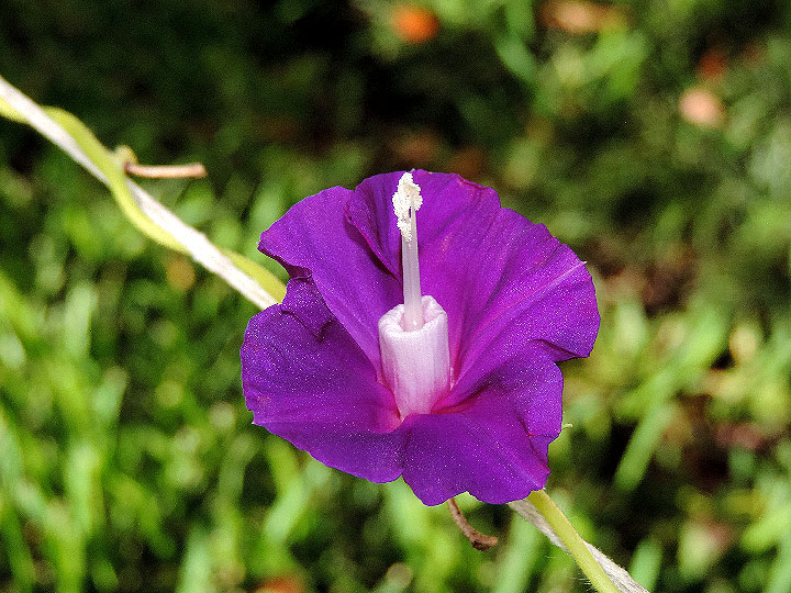 DSCN6157