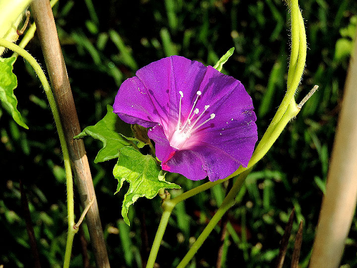 DSCN6158