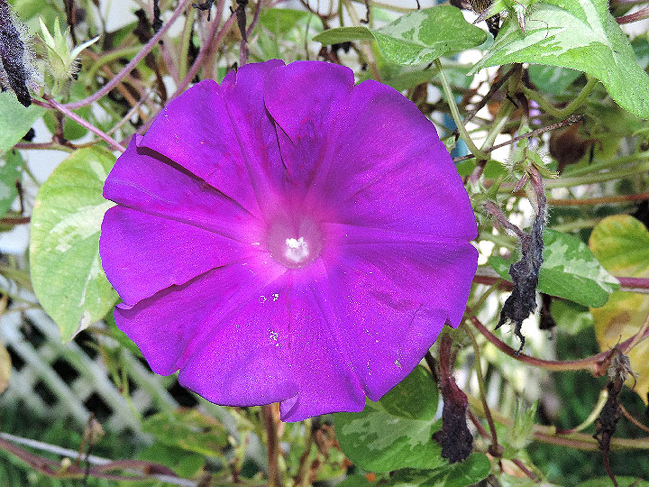 DSCN6301_01