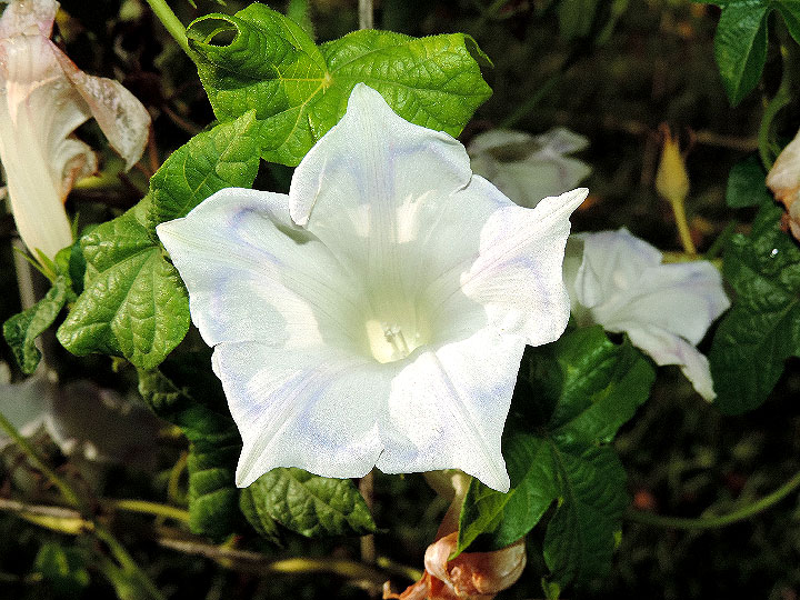 DSCN6316_02