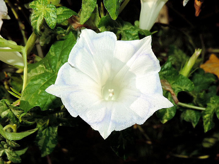 DSCN6318_01