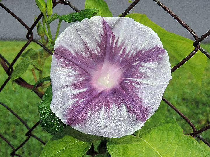 DSCN6339_01