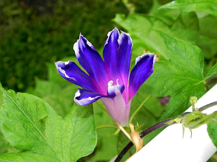 DSCN6423_02