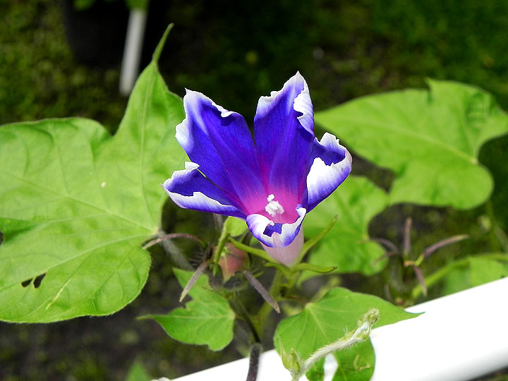 DSCN6425_01