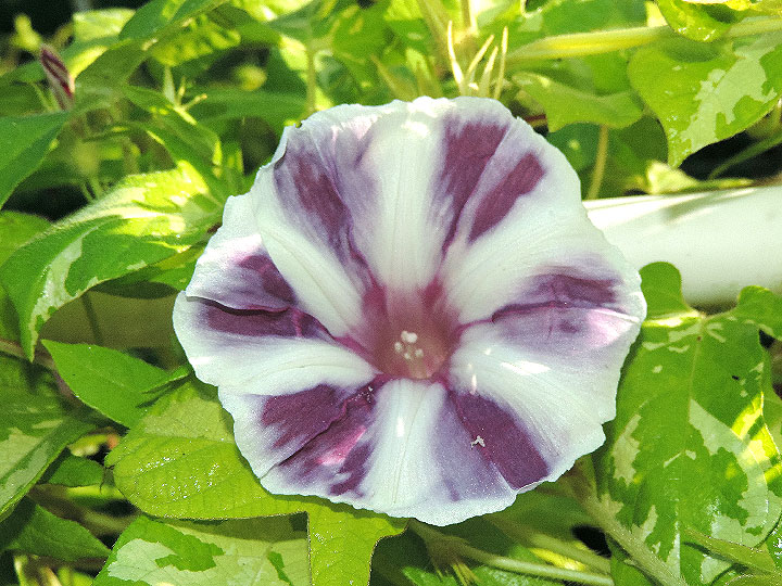 DSCN6448_02