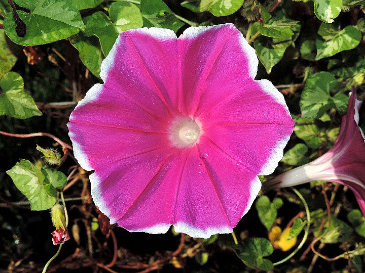 DSCN6467_01