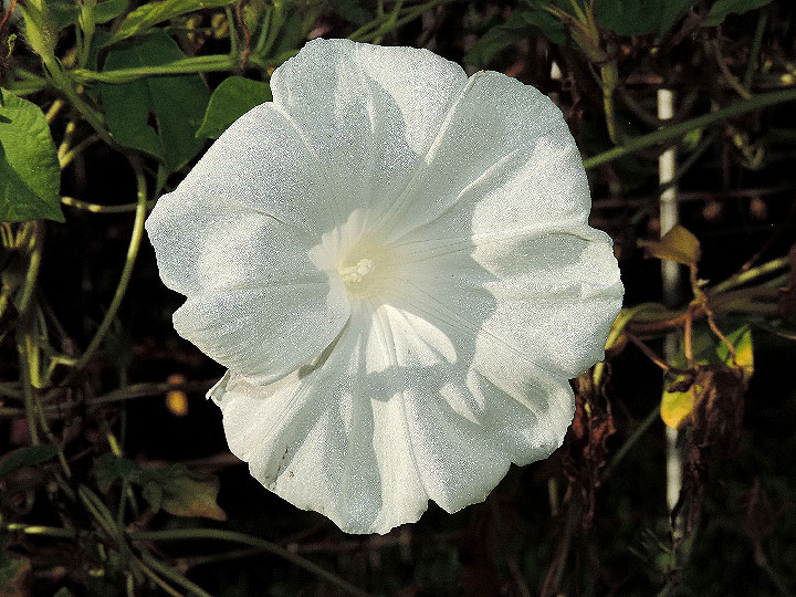 DSCN6473_01