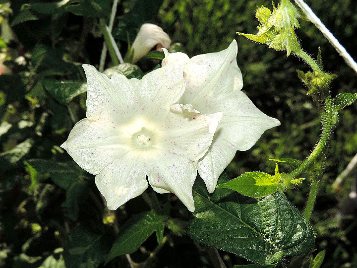 DSCN6560_01