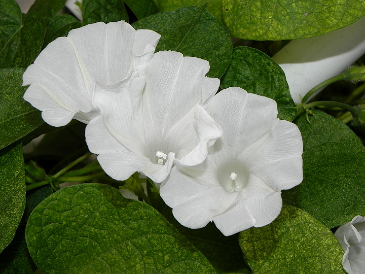 DSCN6563_01