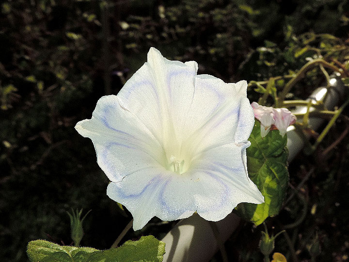 DSCN6566_02