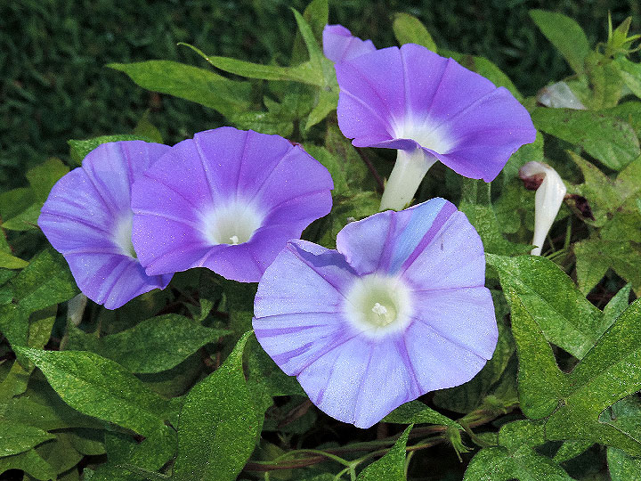 DSCN6583_02