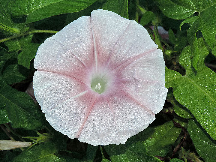 DSCN6588_02