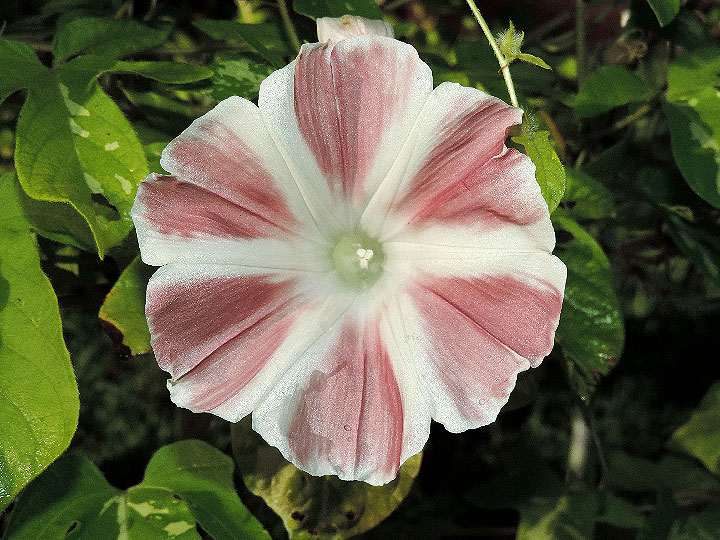 DSCN6610_02