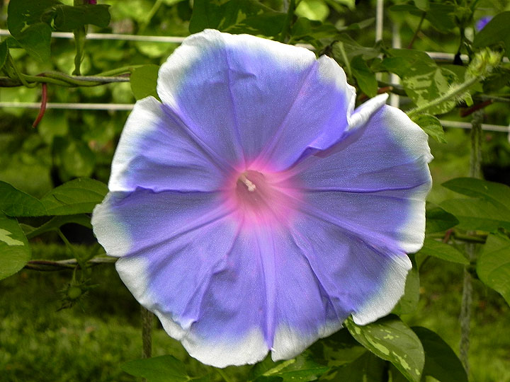 DSCN6627_01