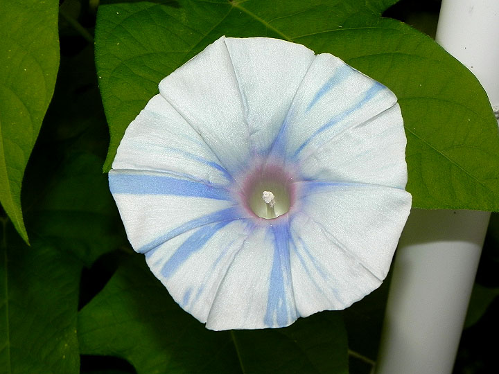 DSCN6629_01