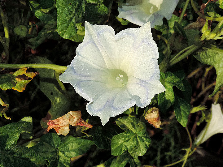 DSCN6642_01