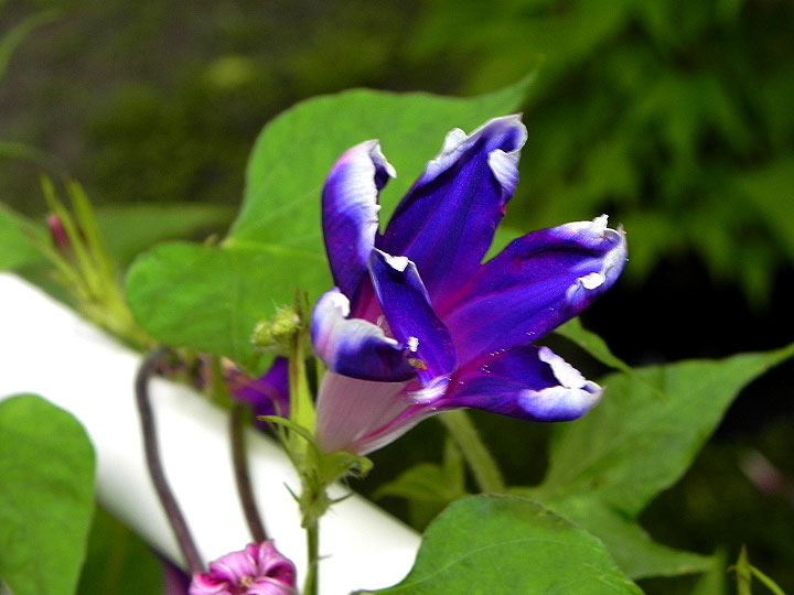 DSCN6656