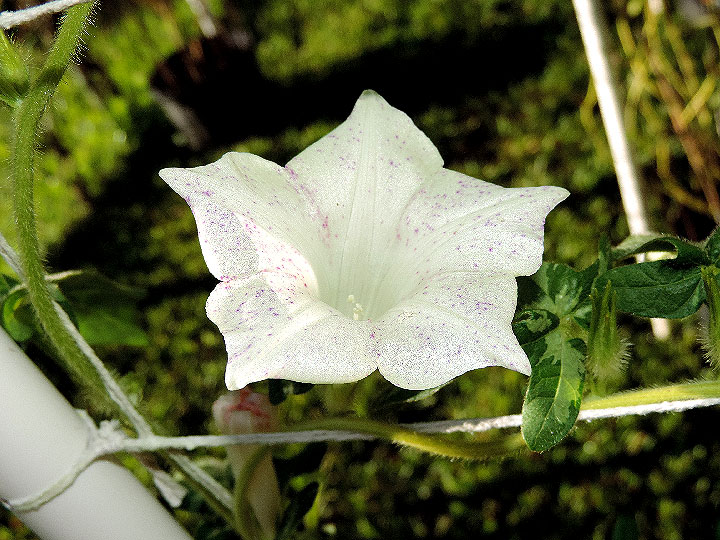 DSCN6705_01