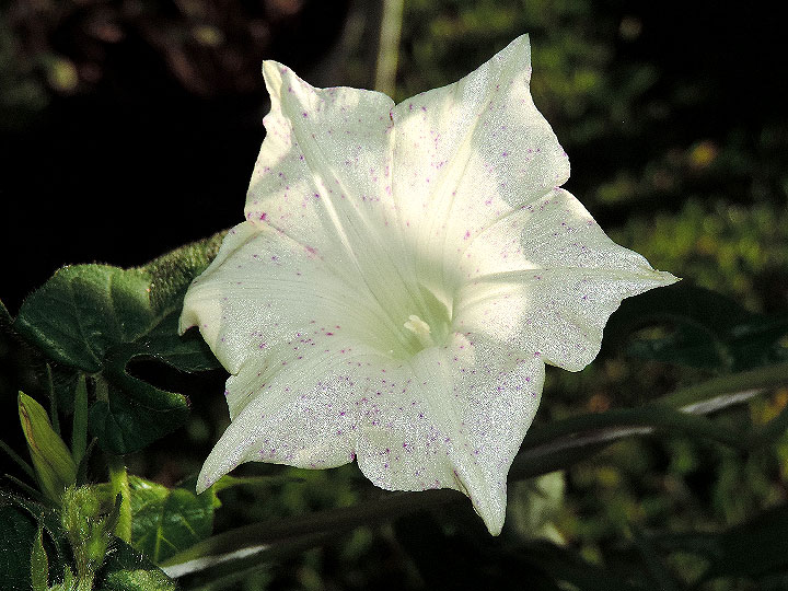 DSCN6706_01