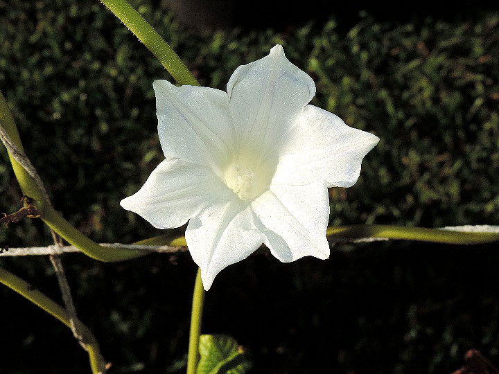 DSCN6712_01