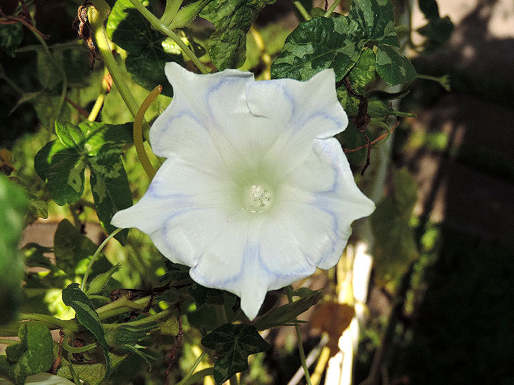 DSCN6715_01