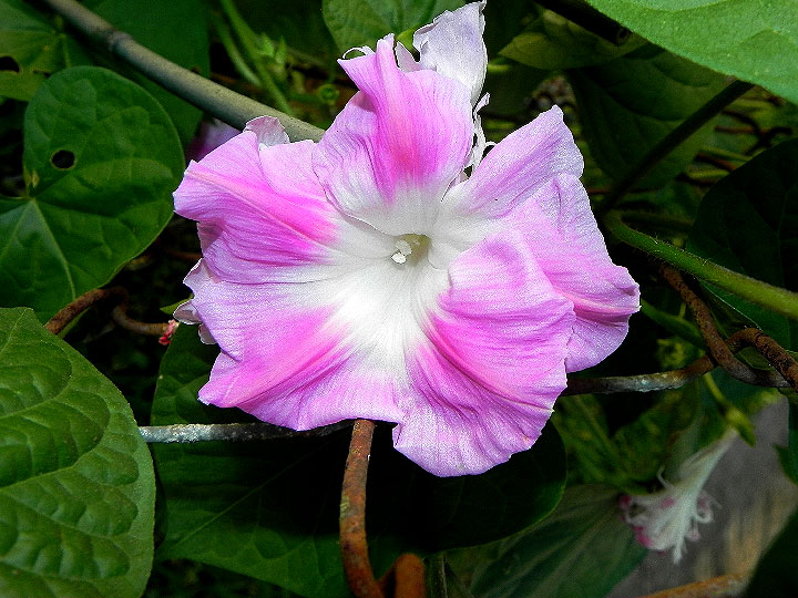 DSCN6754_01