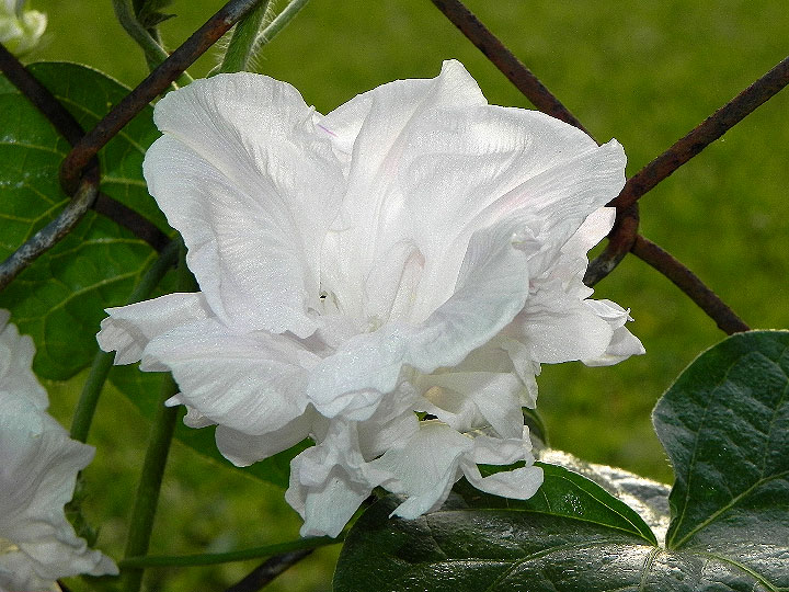 DSCN6785_01