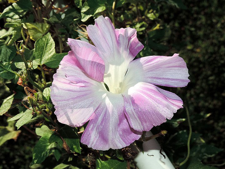 DSCN6792_01