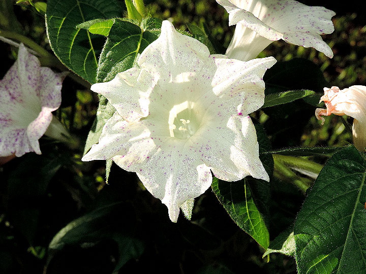 DSCN6795_02