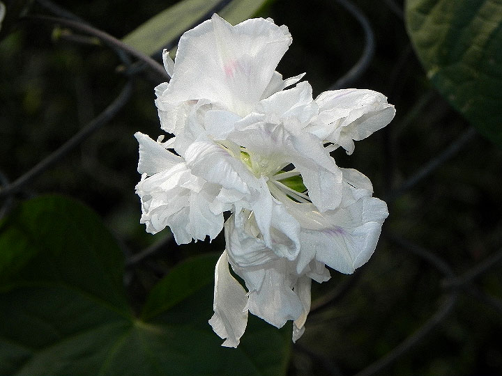 DSCN6844