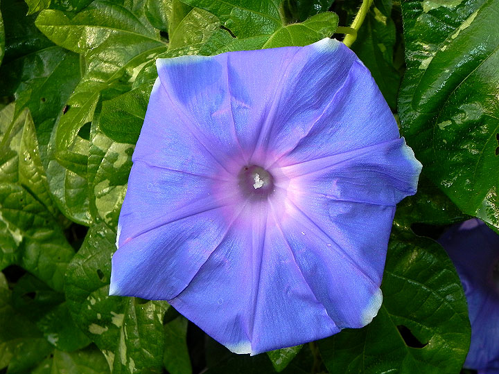 DSCN6845
