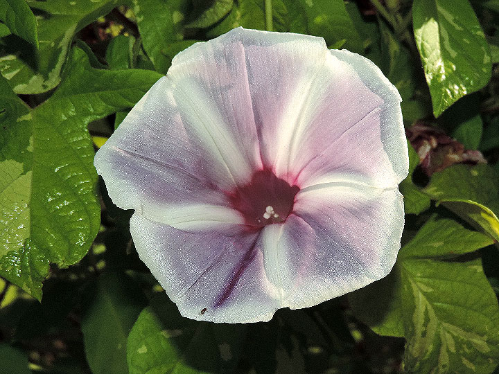 DSCN6855_01