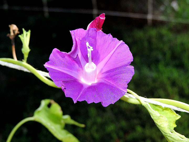 DSCN6856_01