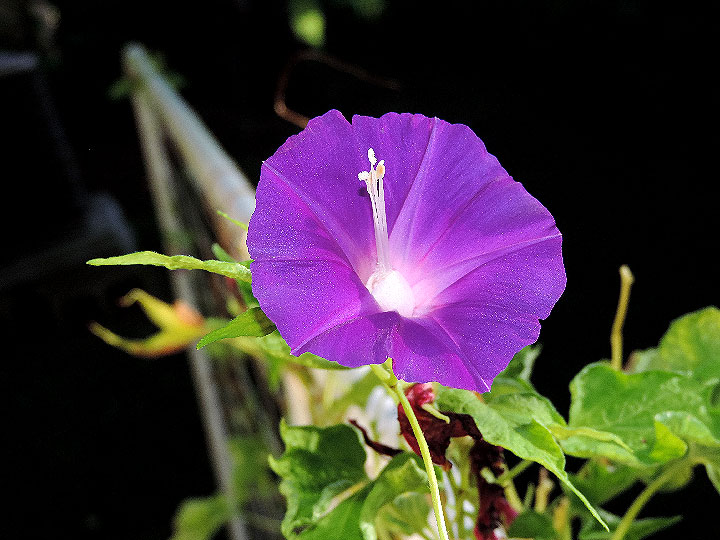 DSCN6857_01