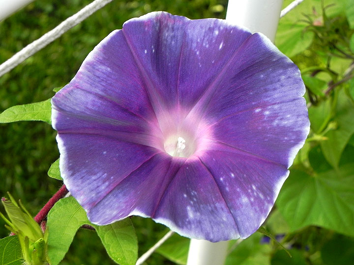 DSCN6865