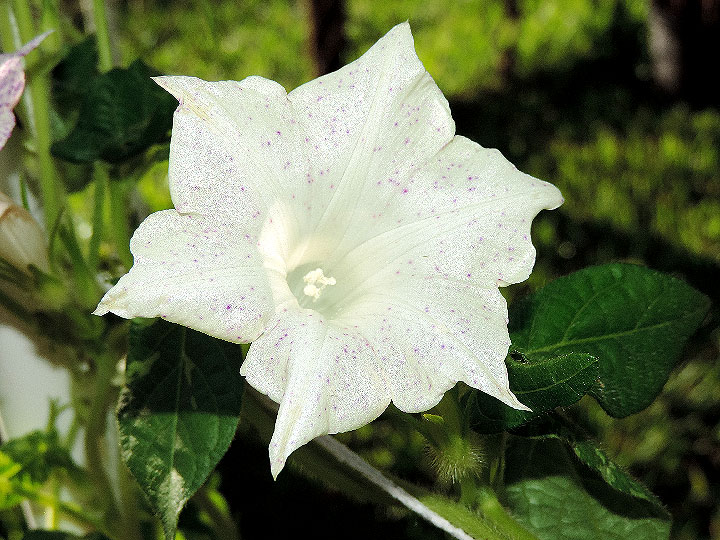 DSCN6869_01
