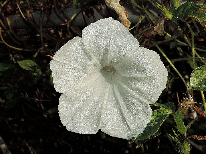 DSCN6873_01