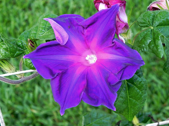 DSCN6975