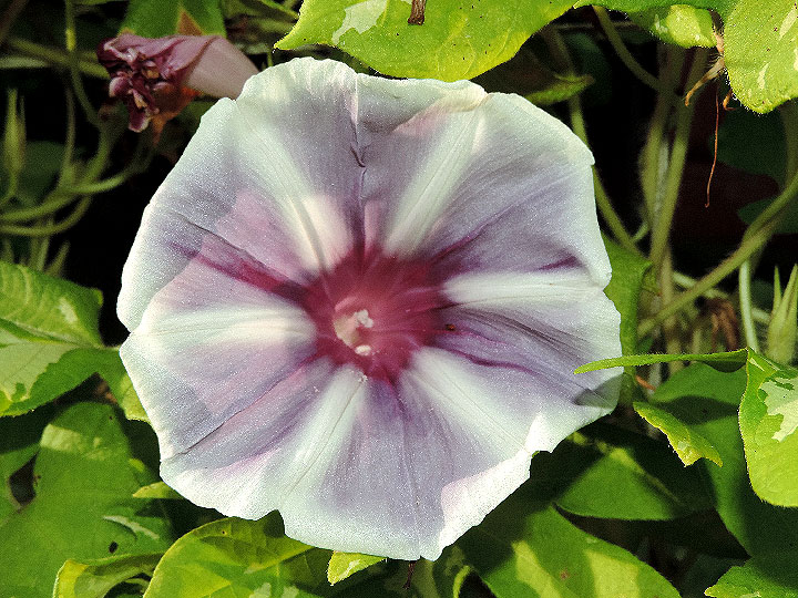DSCN6984_01