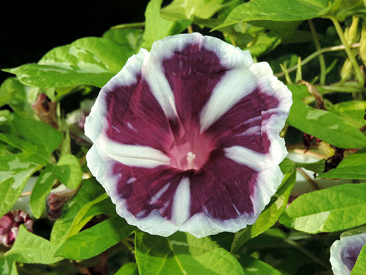 DSCN6985_01