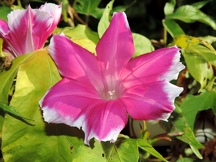 DSCN6995_01