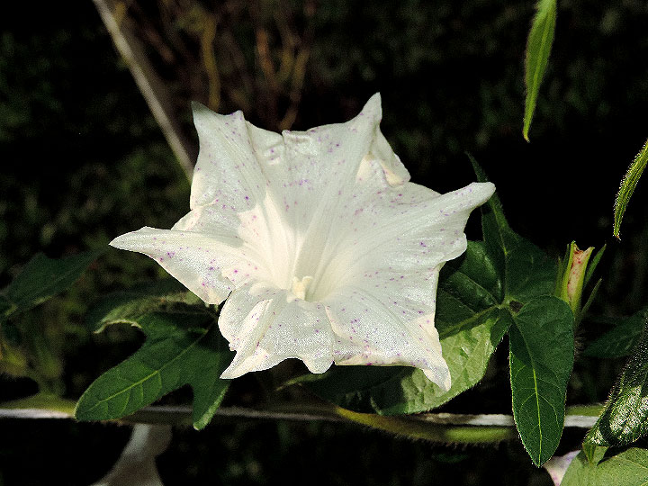 DSCN7002_01