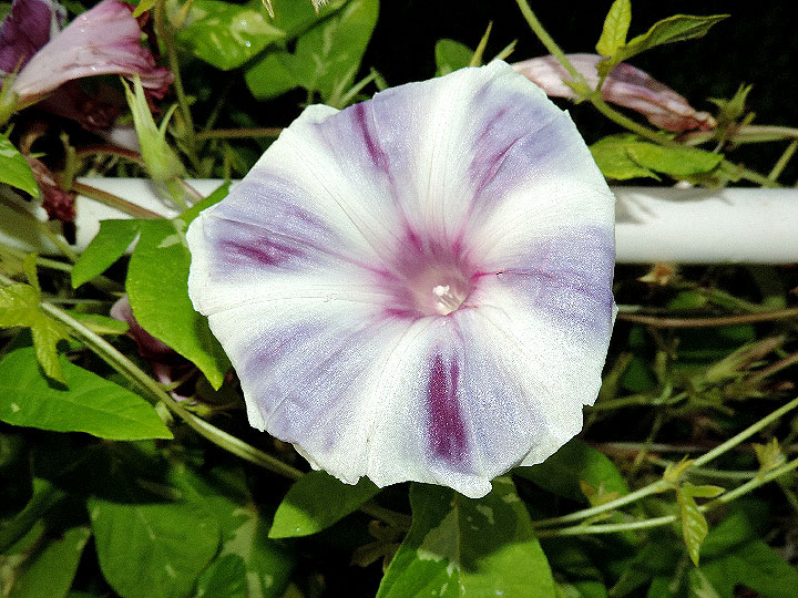 DSCN7093_01